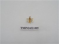 藏品(六點苔蛾)的圖片